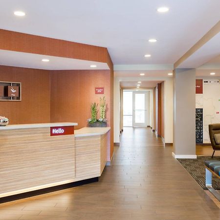 Towneplace Suites By Marriott Memphis סאות-הייבן מראה פנימי תמונה